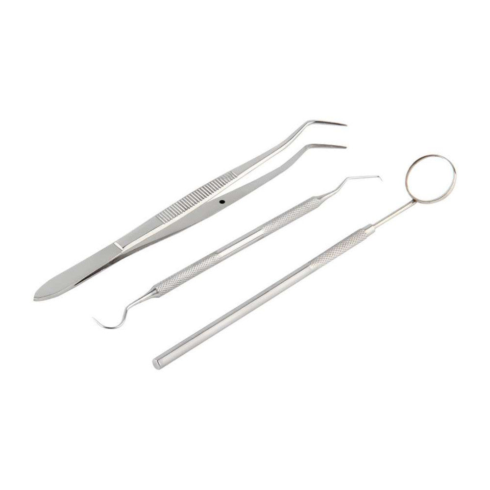 Stainless Steel Dental Cleaning Tools (3 Pcs)